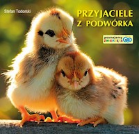 Przyjaciele z podwórka - Todorski Stefan - książka