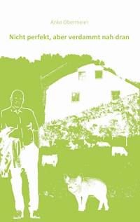 Nicht perfekt aber verdammt nah dran - Anke Obermeier - ebook