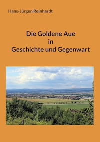 Die Goldene Aue in Geschichte und Gegenwart -  - ebook