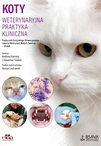 Koty. Weterynaryjna praktyka kliniczna - Harvey A., Tasker S. - książka