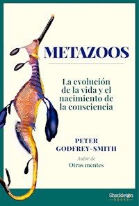 Metazoos - Peter Godfrey-Smith - ebook