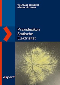 Praxislexikon statische Elektrizität - Wolfgang Schubert - ebook