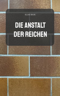 Die Anstalt der Reichen - Elias Baik - ebook