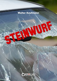 Steinwurf - Walter Kaufmann - ebook