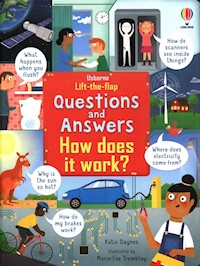Lift-the-Flap Questions & Answers How Does it Work? - Daynes Katie - książka