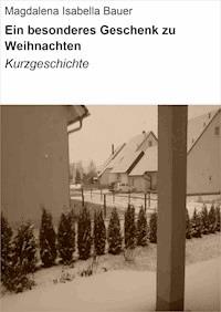 Ein besonderes Geschenk zu Weihnachten - Magdalena Isabella Bauer - ebook