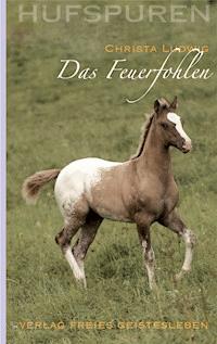 Hufspuren: Das Feuerfohlen - Christa Ludwig - ebook