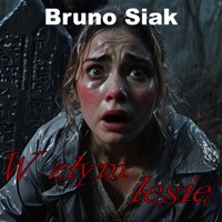 W złym lesie - Bruno Siak - audiobook