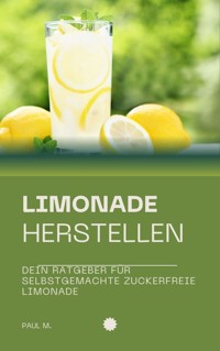 Limonade herstellen - Paul M. - ebook