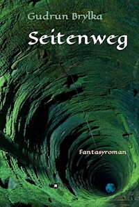 Seitenweg - Gudrun Brylka - ebook