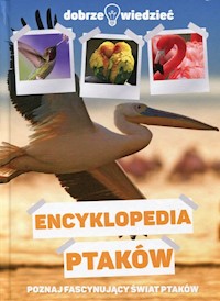 Encyklopedia ptaków Dobrze wiedzieć -  - książka