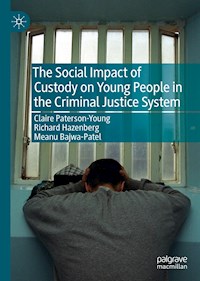 The Social Impact of Custody on Young People in the Criminal Justice System - Claire Paterson-Young - ebook