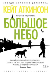 Большое небо - Кейт Аткинсон - ebook