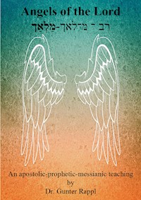 Angels of the Lord - Gunter Rappl - ebook