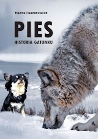 Pies Historia gatunku - Marta Paszkiewicz - książka