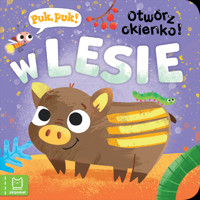 W lesie. Puk, puk! Otwórz okienko! - Katarzyna Łanocha - książka