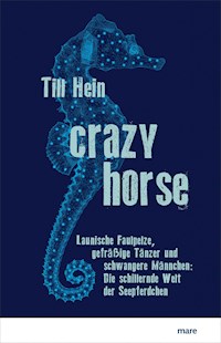Crazy Horse - Till Hein - ebook