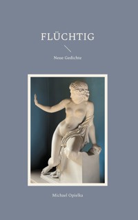 Flüchtig - Michael Opielka - ebook