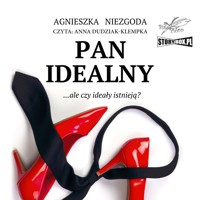 Pan Idealny - Agnieszka Niezgoda - ebook + audiobook + książka