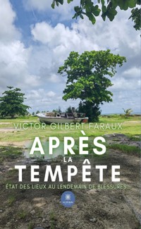 Après la tempête - Victor Gilbert Faraux - ebook