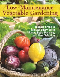 Low-Maintenance Vegetable Gardening - Clare Matthews - ebook