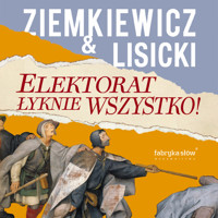 Elektorat łyknie wszystko - Rafał A. Ziemkiewicz, Paweł Lisicki - audiobook