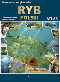 Ilustrowana encyklopedia ryb - Grabowska Joanna, Grabowski Michał - książka