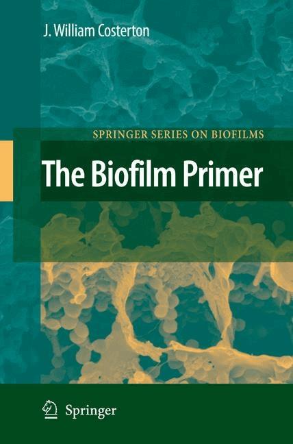 The Biofilm Primer