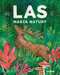 Las. Magia natury - Maciąg Klaudyna - książka