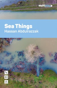 Sea Things - Hassan Abdulrazzak - ebook