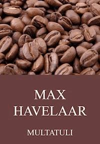 Max Havelaar - Multatuli - ebook