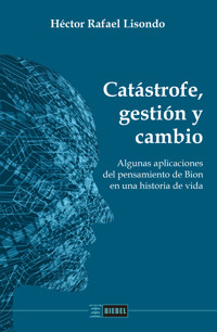 Catástrofe, gestión y cambio - Héctor Rafael Lisondo - ebook