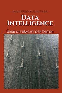 Data Intelligence - Manfred Kulmitzer - ebook