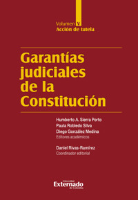 Garantías judiciales de la Constitución Tomo V - Autores varios - ebook