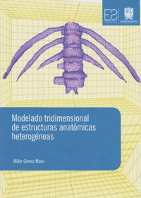 Modelado tridimensional de estructuras anatómicas heterogéneas - Miller Gómez Mora - ebook