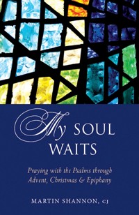 My Soul Waits - Martin Shannon - ebook