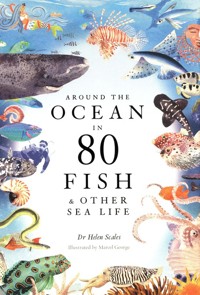 Around the Ocean in 80 Fish and other Sea Life - Scales Helen - książka