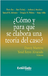 ¿Cómo y para qué se elabora una teoría del caso? - Danny Marrero - ebook