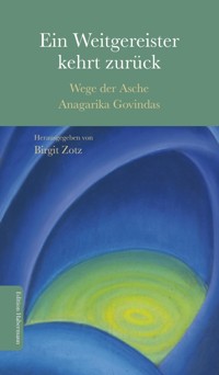 Ein Weitergereister kehrt zurück - Birgit Zotz - ebook