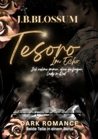 Tesoro im Echo - j.b. blossum - ebook