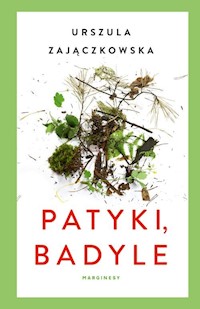 Patyki, badyle - Urszula Zajączkowska - książka