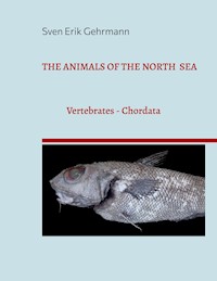 The Animals Of The North Sea 1 - Sven Erik Gehrmann - ebook