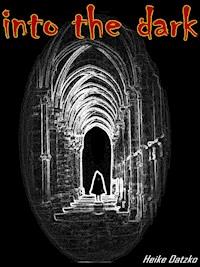into the dark - Heike Datzko - ebook