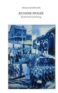 Jeunesse Spoliée - Mohammed Essaadi - ebook