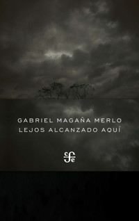 Lejos alcanzado aquí - Gabriel Magaña Merlo - ebook
