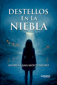 Destellos de niebla - Andrea Lama Montenegro - ebook