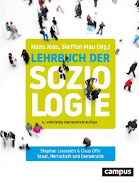 Staat, Herrschaft und Demokratie - Stephan Lessenich - ebook