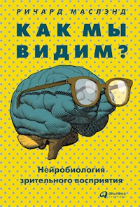 Как мы видим? Нейробиология зрительного восприятия - Ричард Маслэнд - ebook