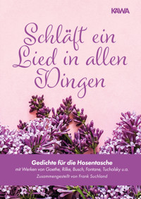 Schläft ein Lied in allen Dingen - Frank Suchland - ebook