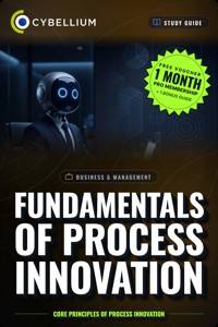 The Fundamentals of Process Innovation - Cybellium - ebook
